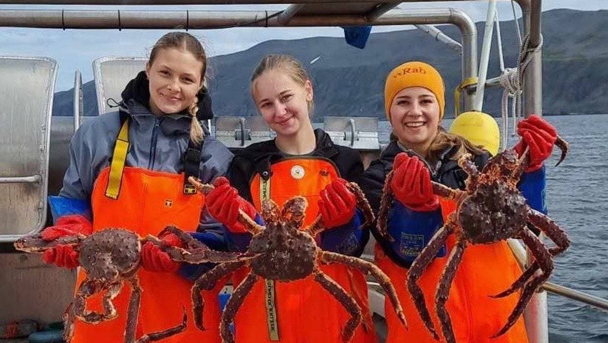 Rekordmange ungdommer velger fiskeryrket i sommer: – Lett å tjene penger