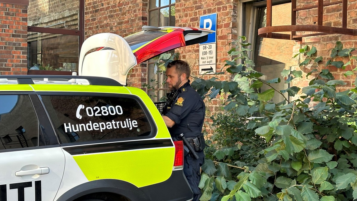 Etterlyst 21-åring pågrepet i natt