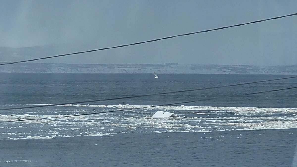 Hus og fjøs på havet etter snøskred: to personer omkommet