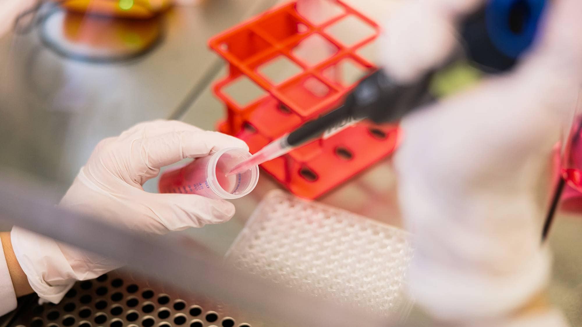 Vi ser de hanskekledde hendene til en forsker som putter en pipette i et rør på et laboratorium.