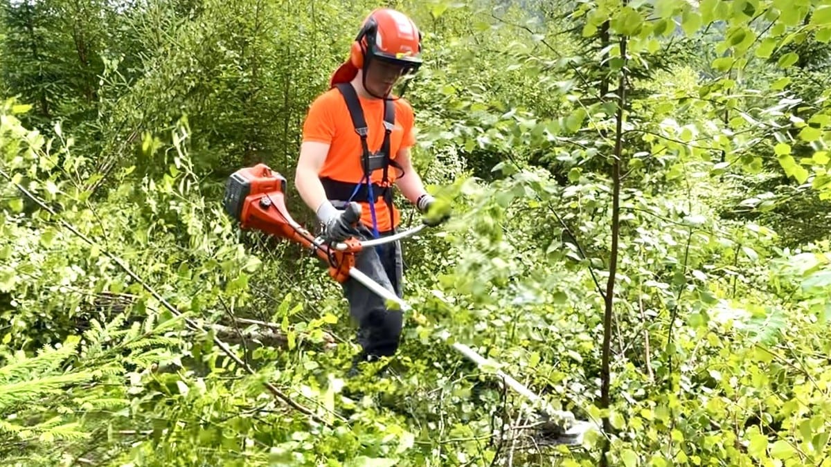 Rekordmange unge vil jobbe i skogen: Her svinger Joakim (17) ryddesaga