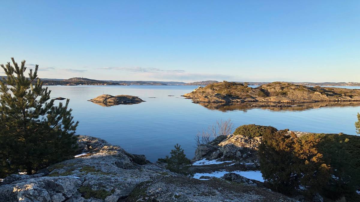 Statsforvalteren skal se nærmere på 23 byggesaker