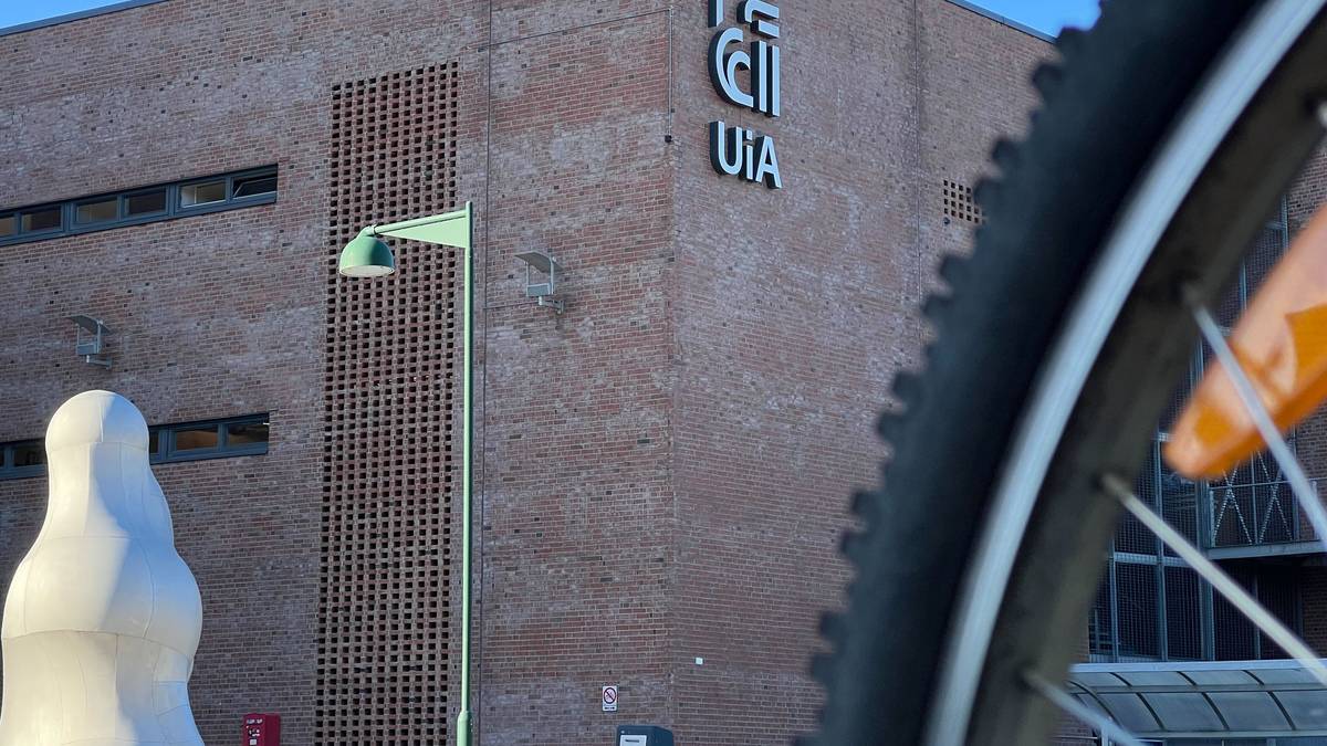 UiA leder prosjekt med fem europeisk land