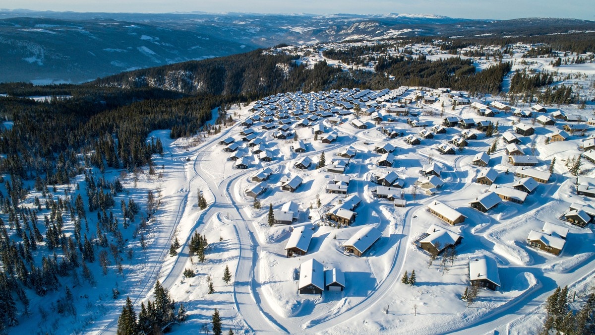 Jubler over historisk nedgang i hyttebygging: – Har vært vanvittig ødeleggende