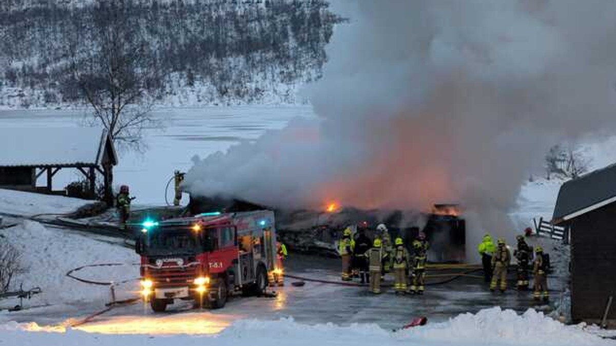 Overtent bolig i Fjaler