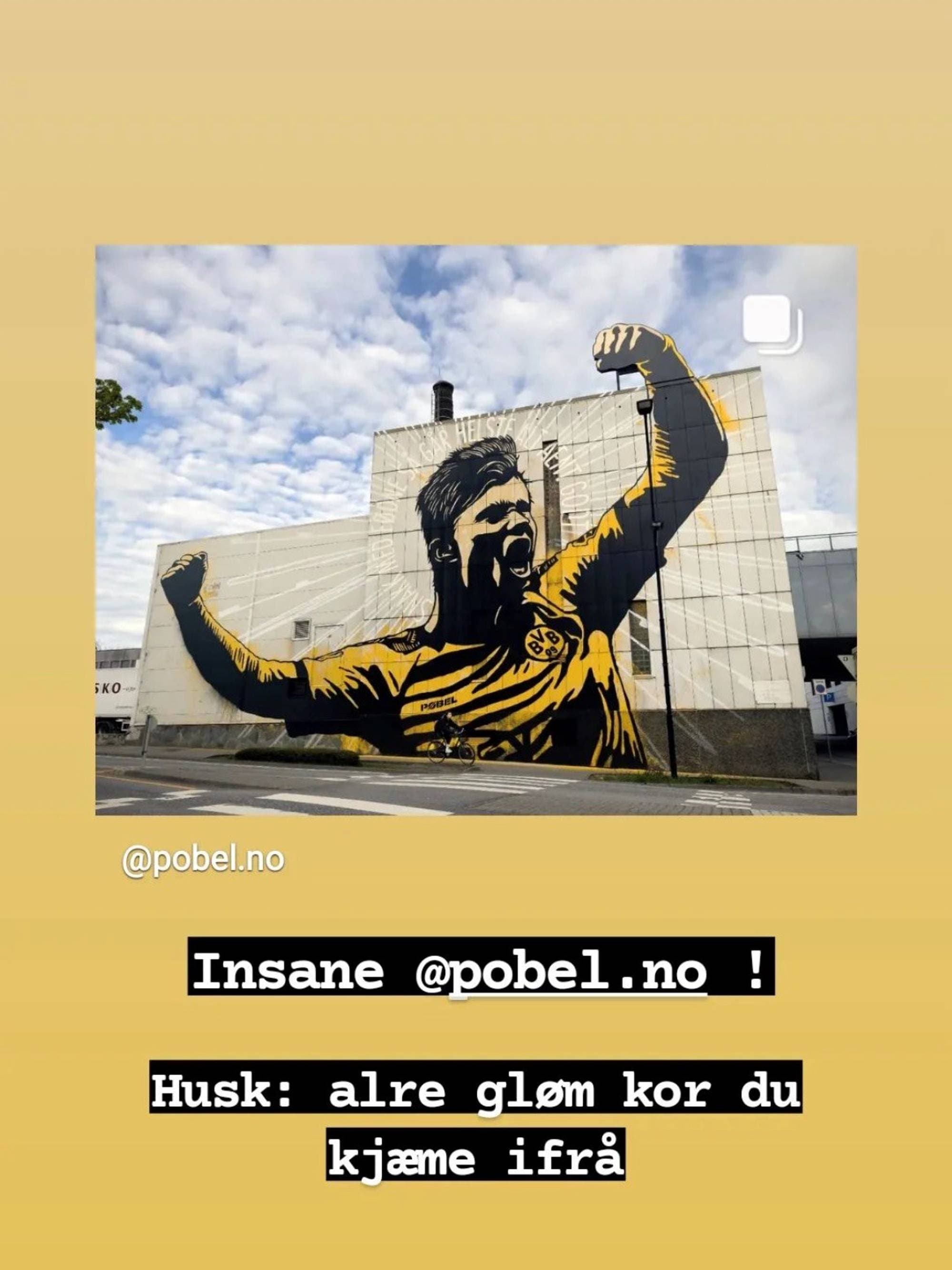 Erling Braut Haaland Instagram