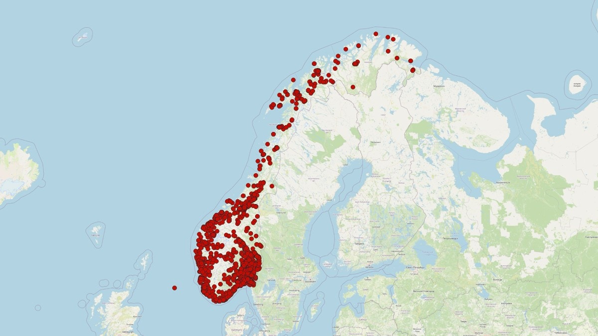 Nordmenn overvåkes av mobilen: – Pill råttent system