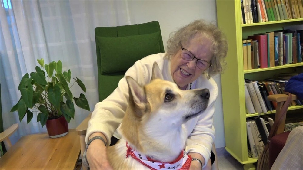 Besøksforbud på sykehjem: Hunder ble redningen