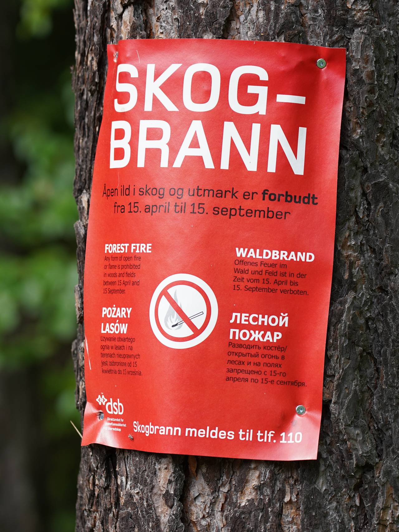 Skogbrannfare