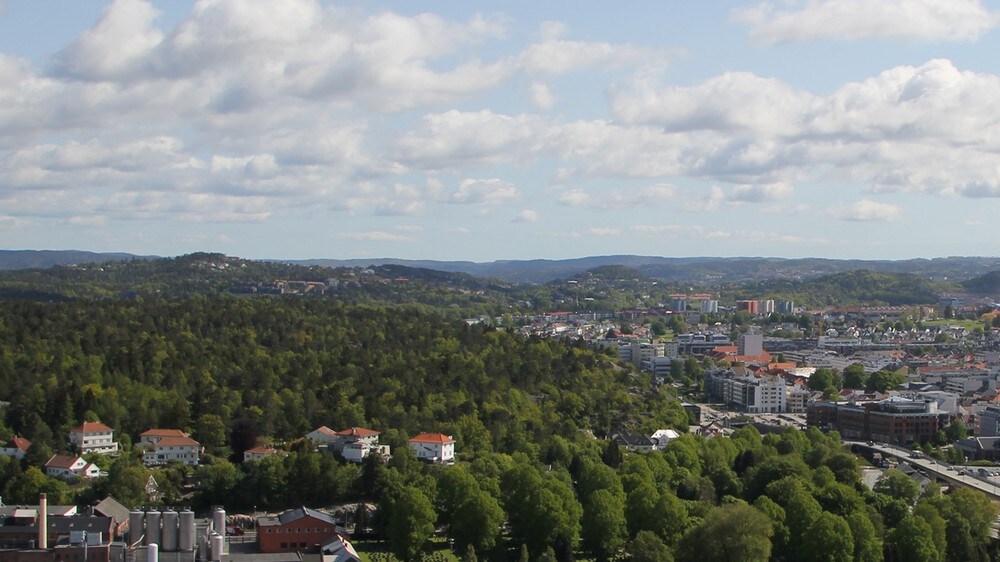 Sorgen over Baneheia - Dokumentar