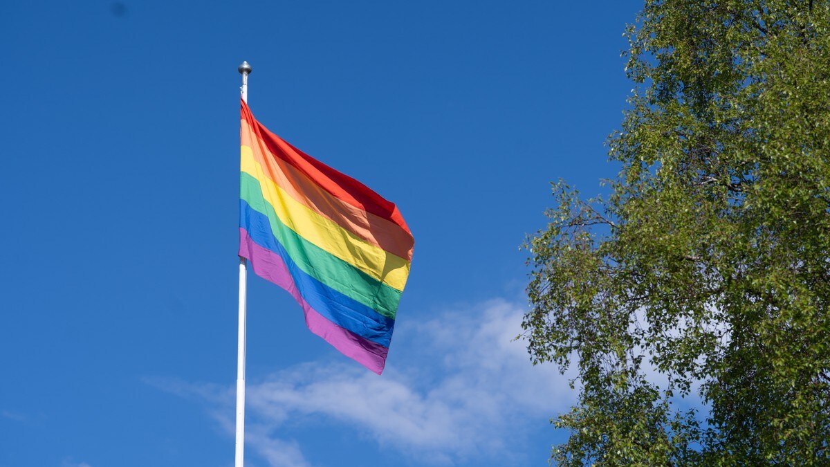Øyer Frp vil ha forbud: Kobler prideflagget til økende uro og hærverk