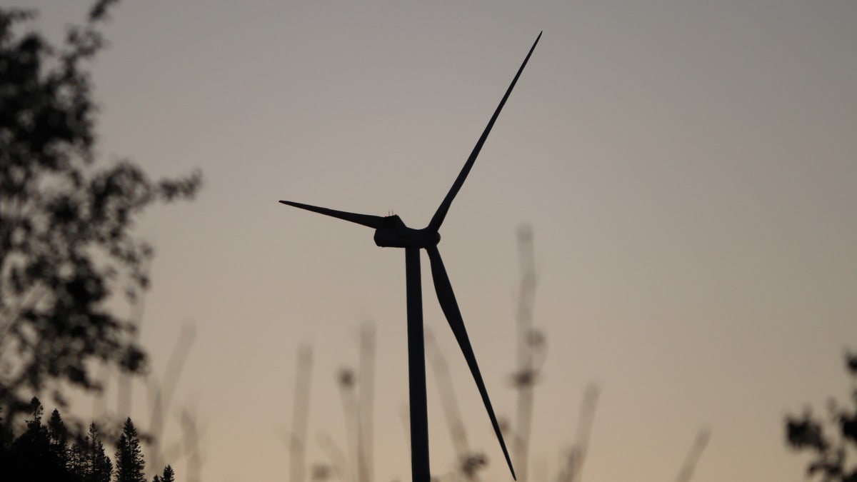 Legger planer for mer vindkraft på Fosen: – Nå er vi fritt vilt på nytt