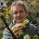 Terje Haugnes / NRK Gråhåret mann i allværsjakke med en kvist med epleblomster i handa nær kamera