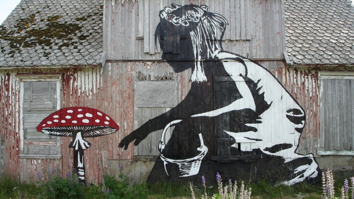 Urban Kunst Midt I demarka NRK Nordland Lokale Nyheter TV Og Radio