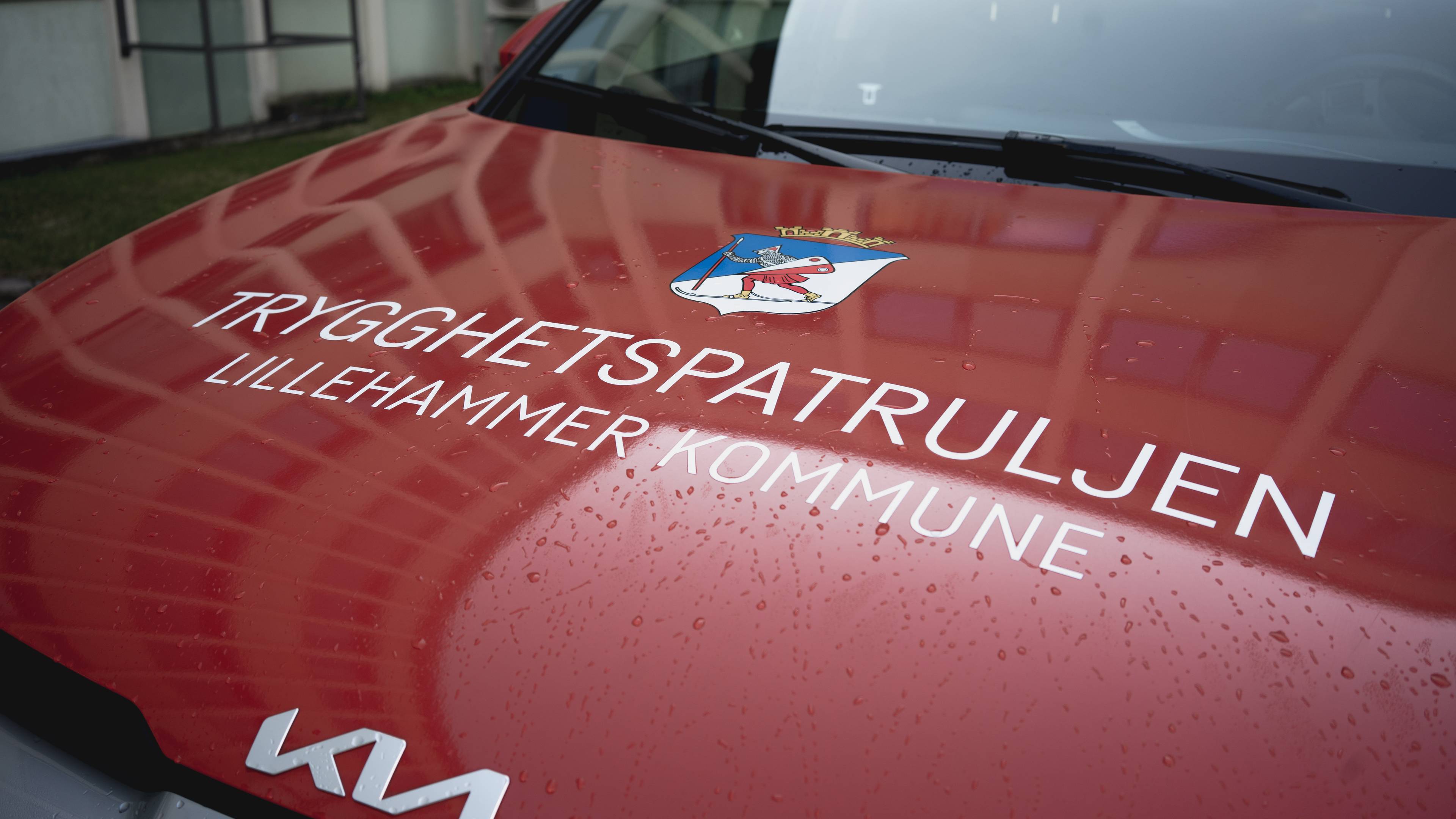 ein raud bil