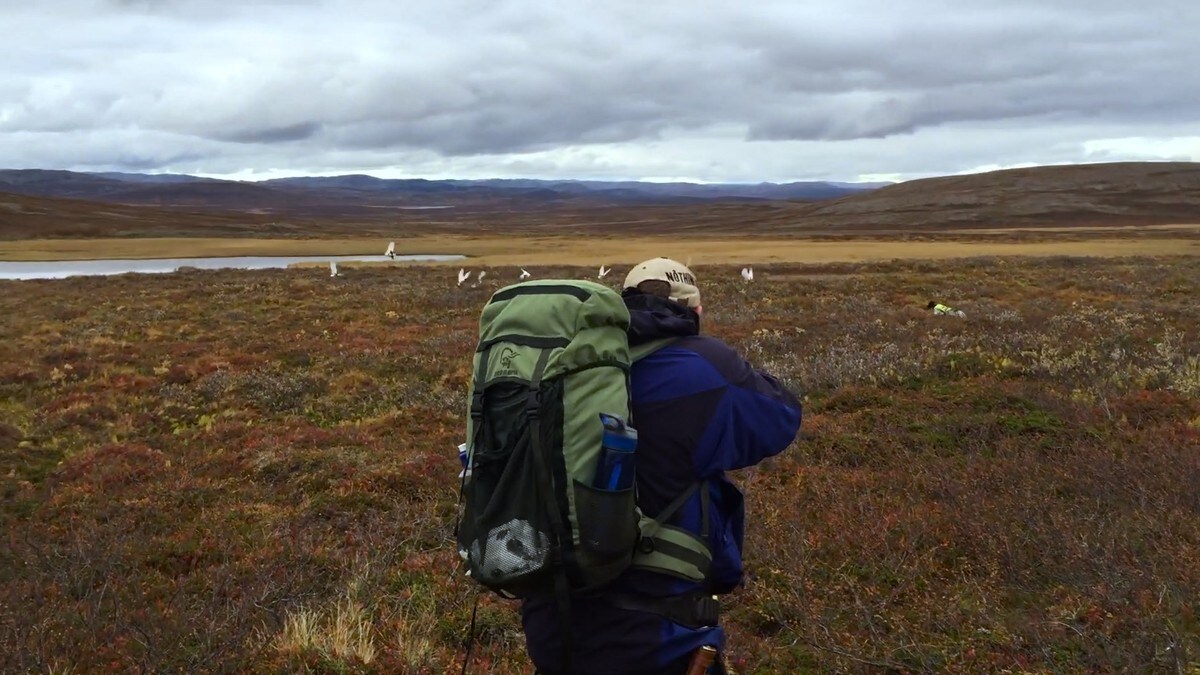 Krever rettigheter til utmark i Finnmark