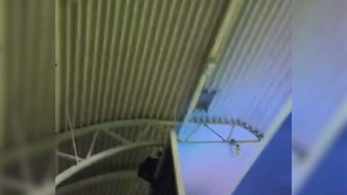 Klatrar fleire meter opp for å feste eit klistremerke: – Ikkje oppførsel Rosenborg ønsker