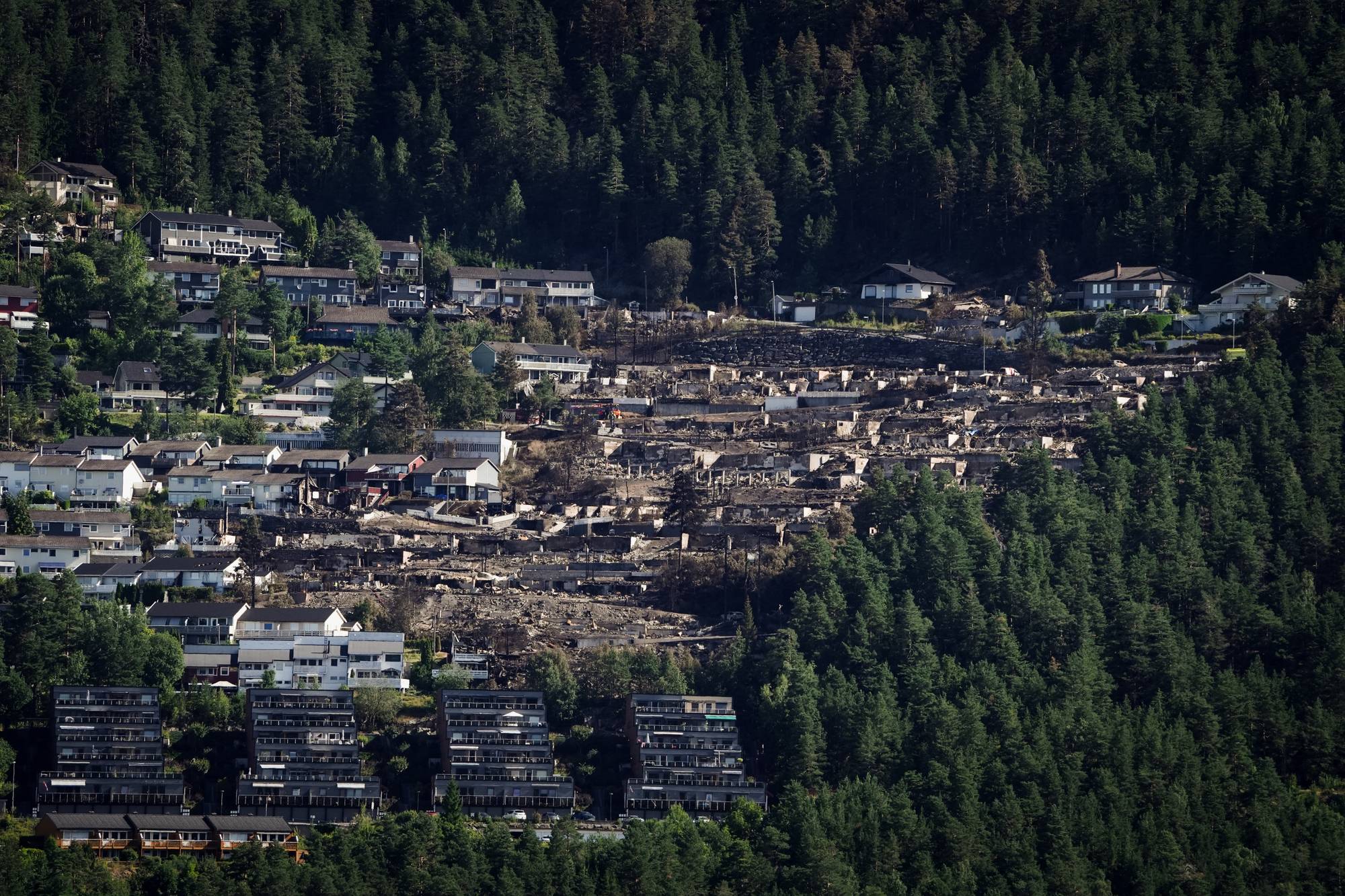 Oversiktsbilde av et nabolag ved en skog tatt fra avstand. Store deler av nabolaget er brent ned
