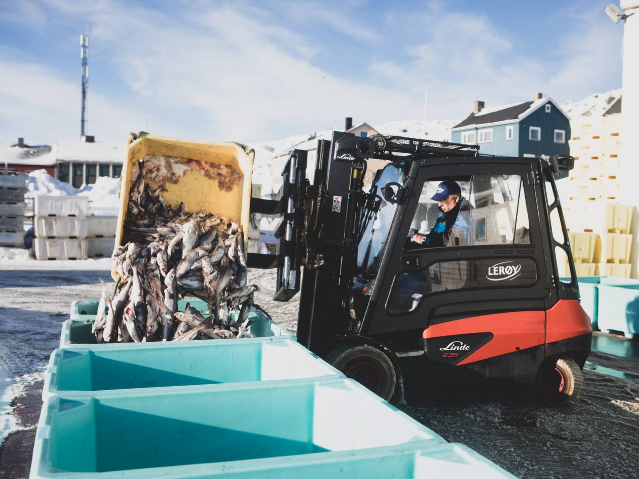 Berlevåg havn
