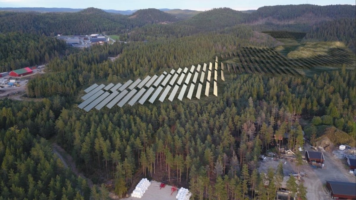 Skal bygge eit av Noregs største solkraftverk