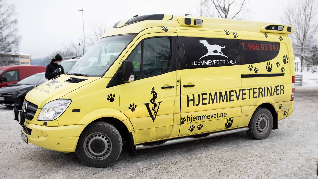 Hjemmeveterinær Gjerdrum