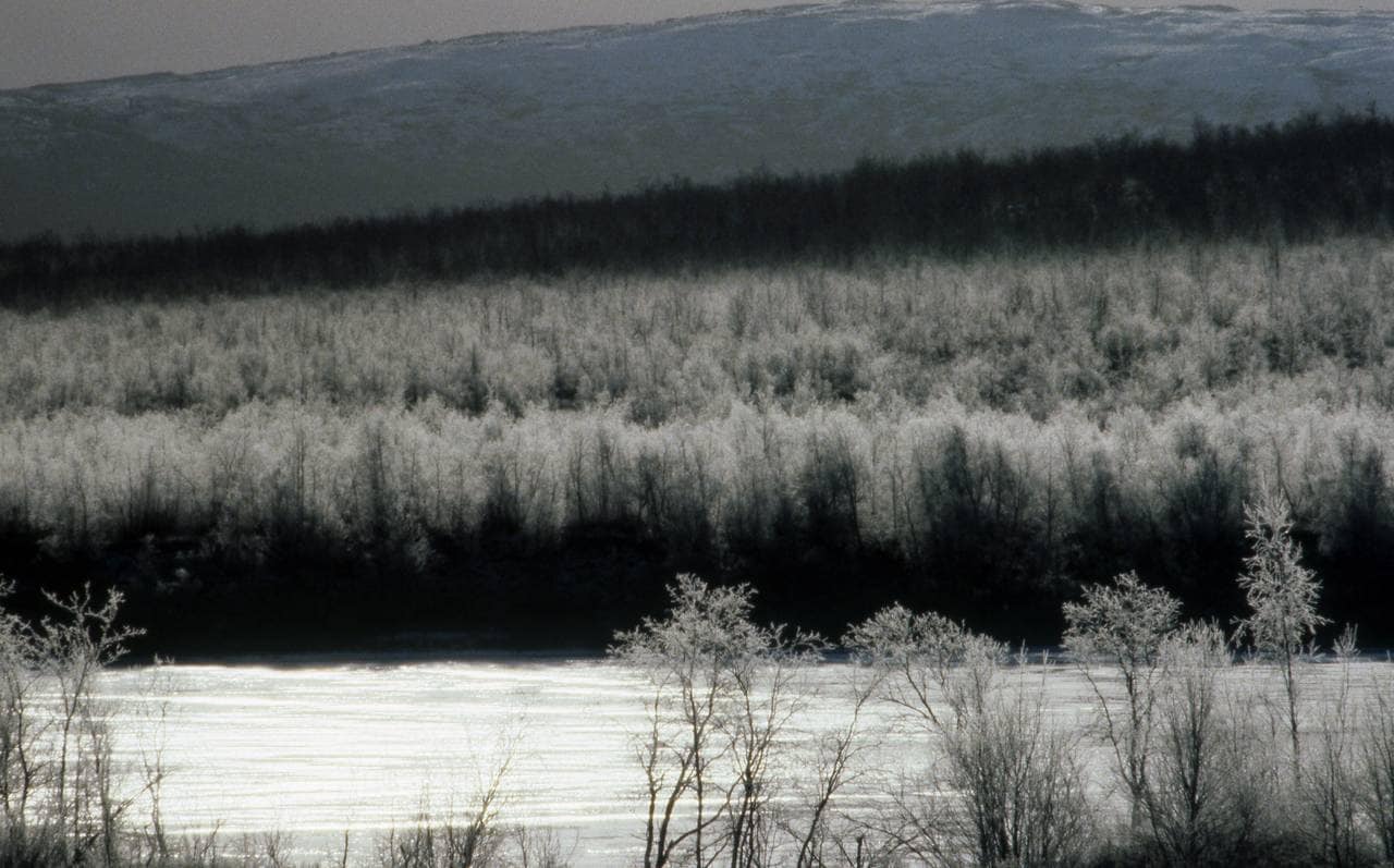 Vår-vinter