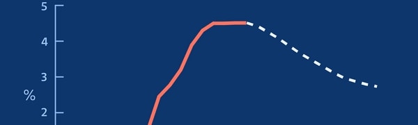 renter