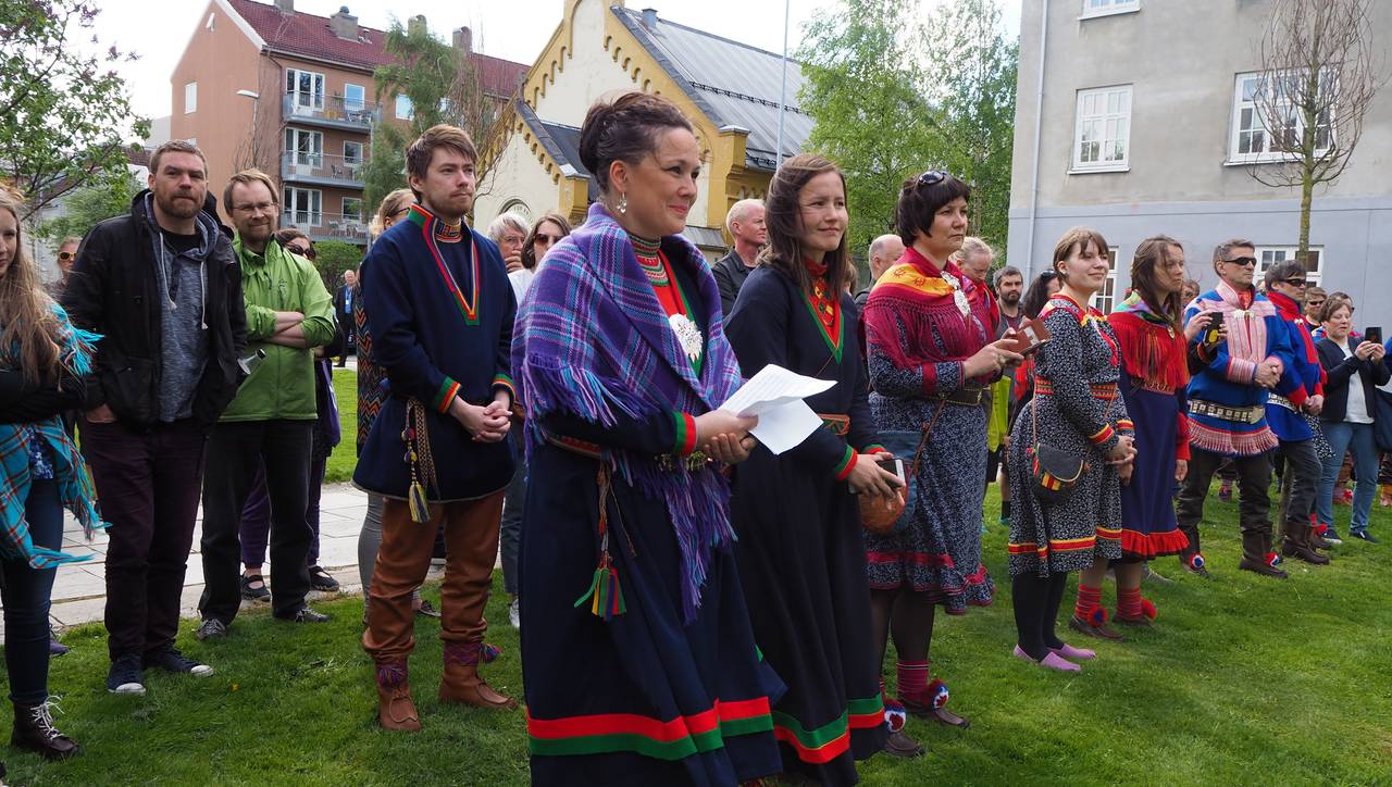 Markering mot vindmøllekraft
