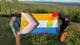 Foto: Privat / Jo Rantatalo Jo Rantatalo og Ida Isak Westerberg holder det tornedalske prideflagget: prideflaku