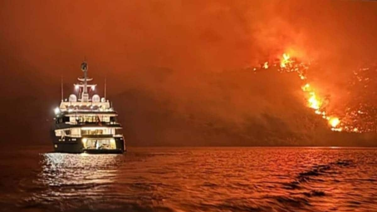 Fireworks from a luxury yacht set off a forest fire – NRK Urix – Foreign news and documentaries