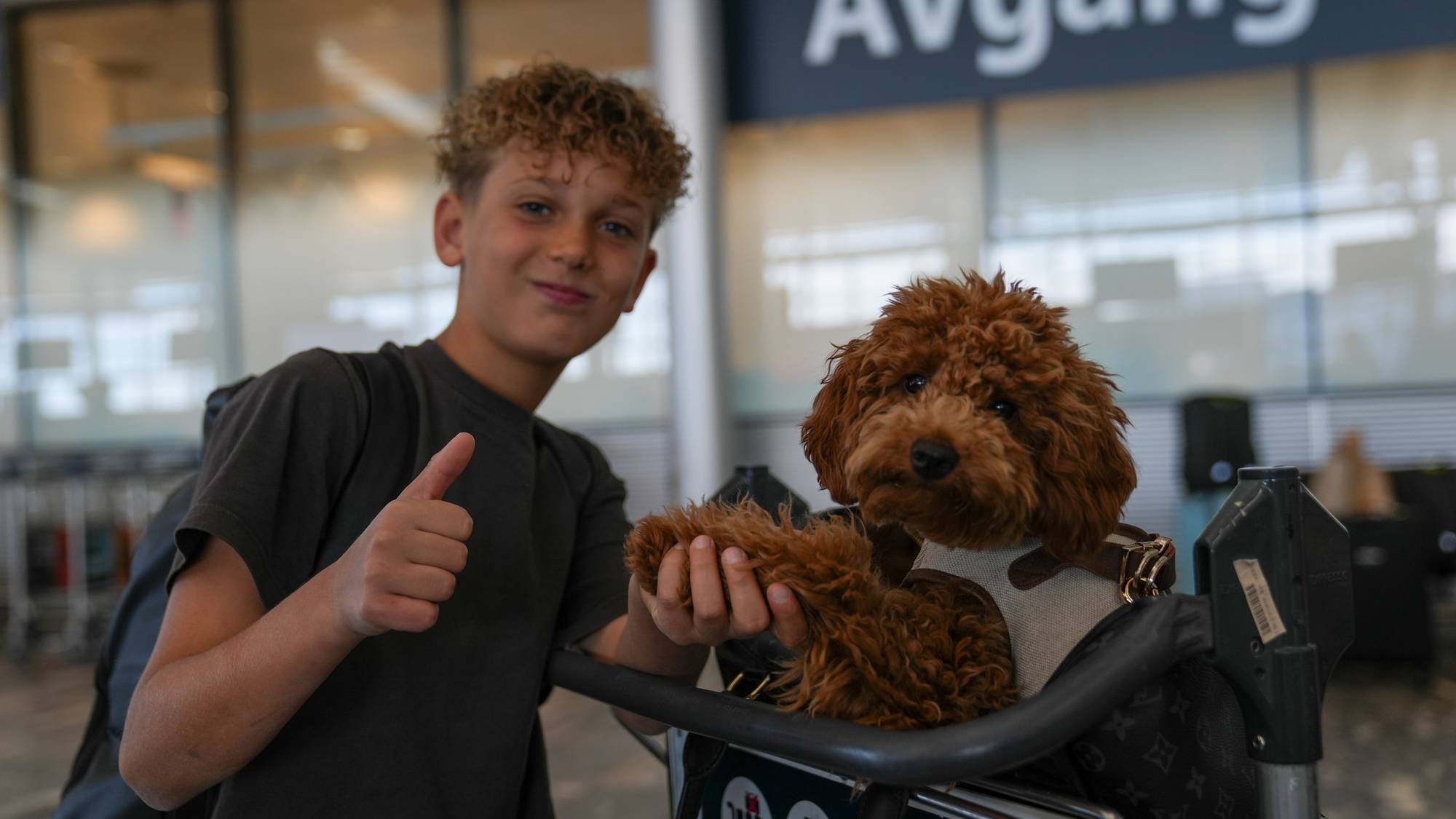 En person som holder en teddybjørn (Bildebeskrivelsen er laget av en KI-tjeneste)
