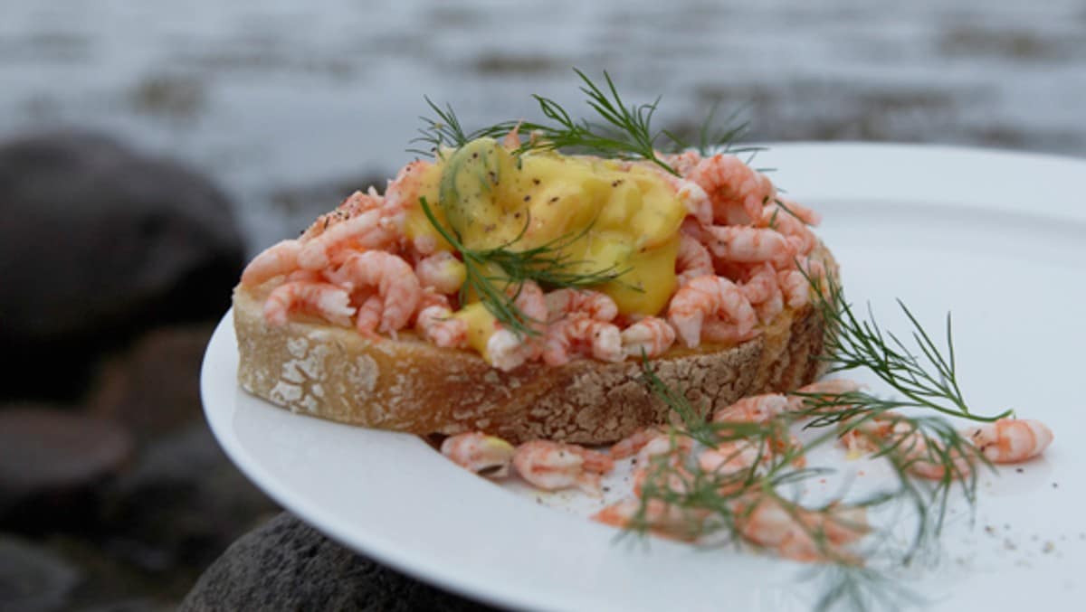 Fjordreker med majones og dill NRK Mat Oppskrifter og inspirasjon