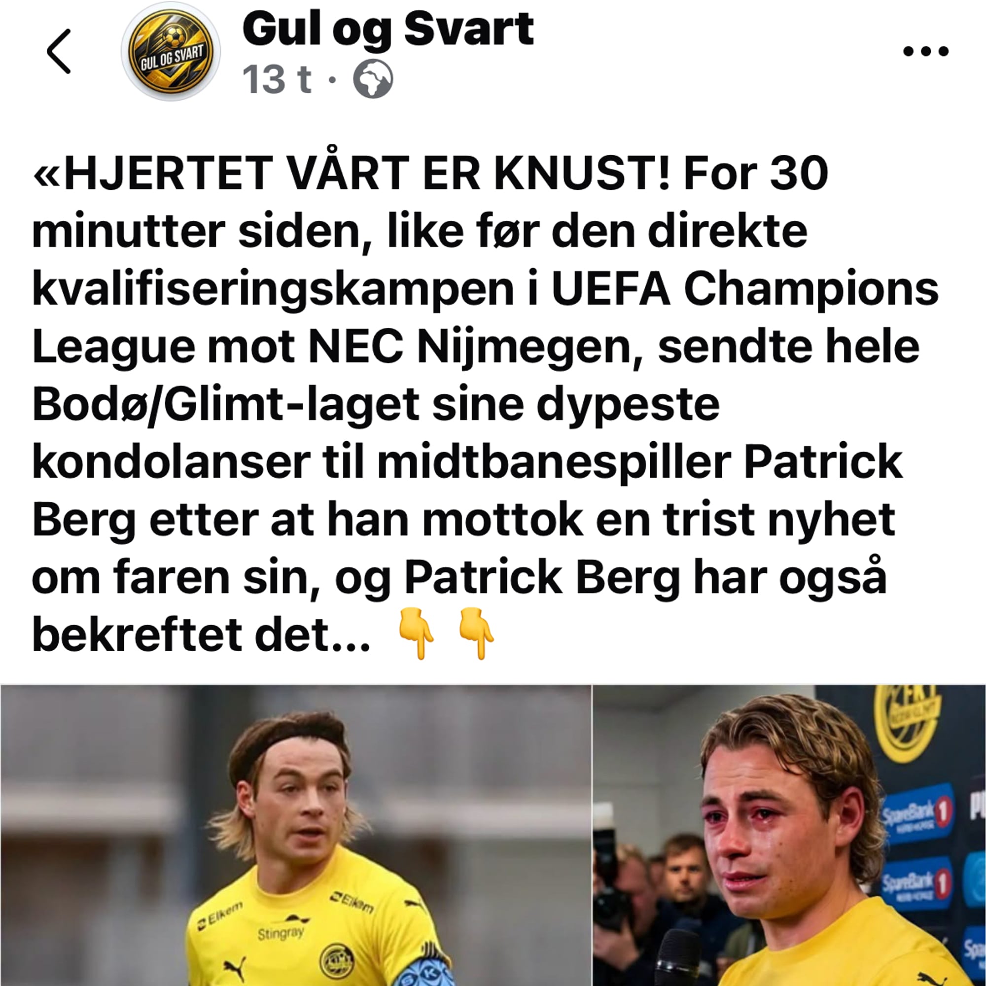 Falsk Facebook-post om Patrick Berg.