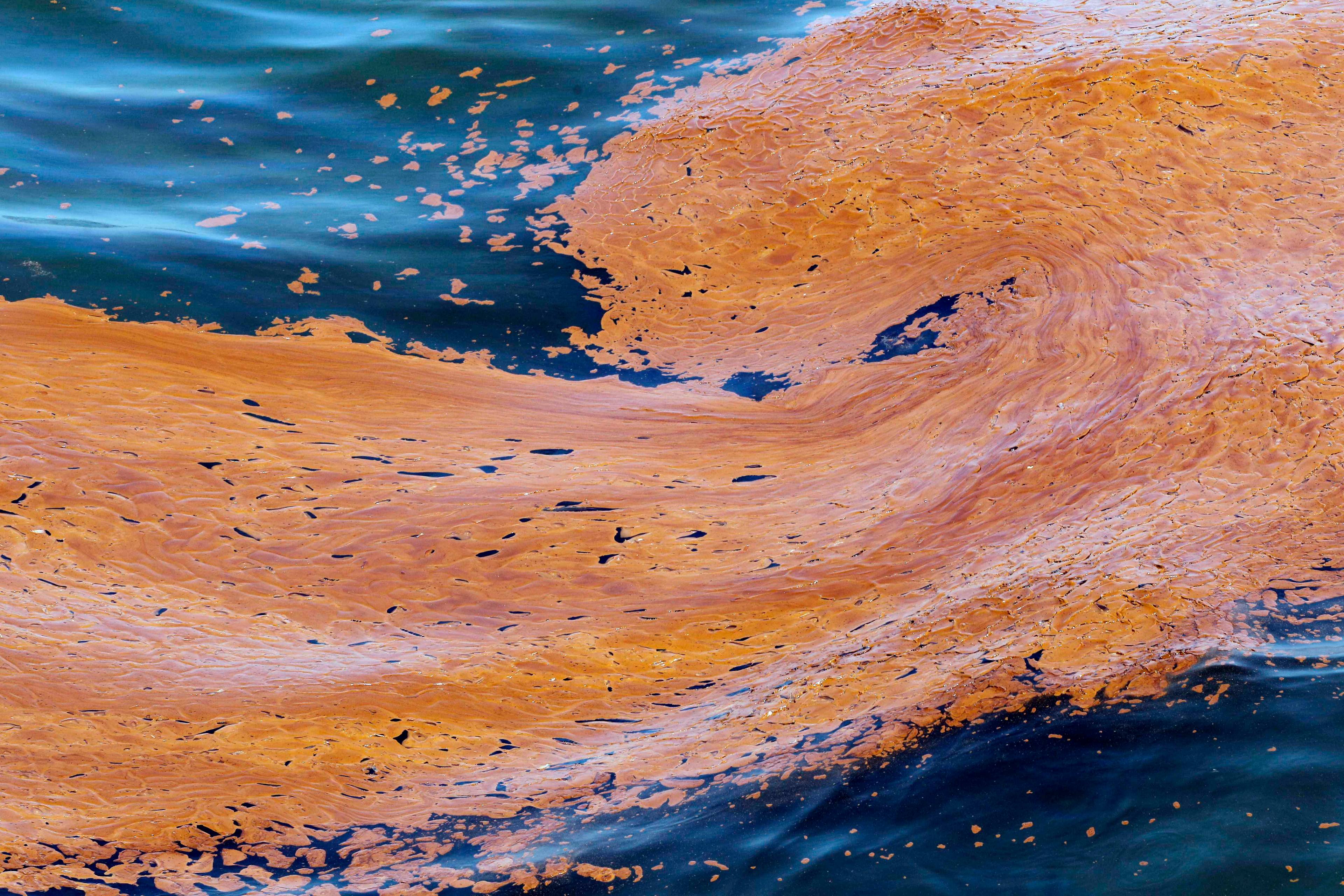 FILE - Oil floats in the waters of Chandeleur Sound, La., on May 4, 2010, two weeks after the explosion of the Deepwater Horizon oil rig in the Gulf of Mexico. (AP Photo/Eric Gay, File)