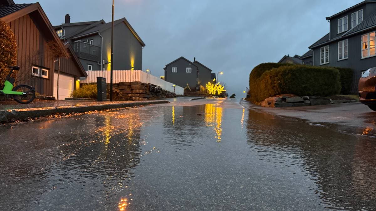 Speilglatt flere steder