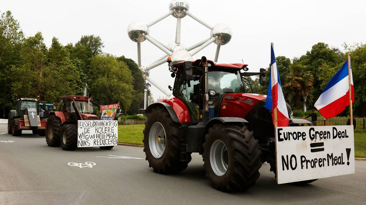 Ytre høgre skal leie EU-parlamentets klimaarbeid