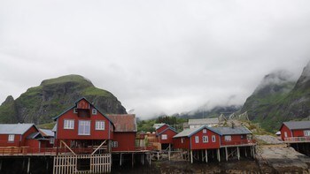 Grått vær i Lofoten
