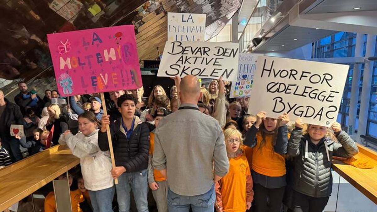 Mange har sagt sin mening om skolesaken