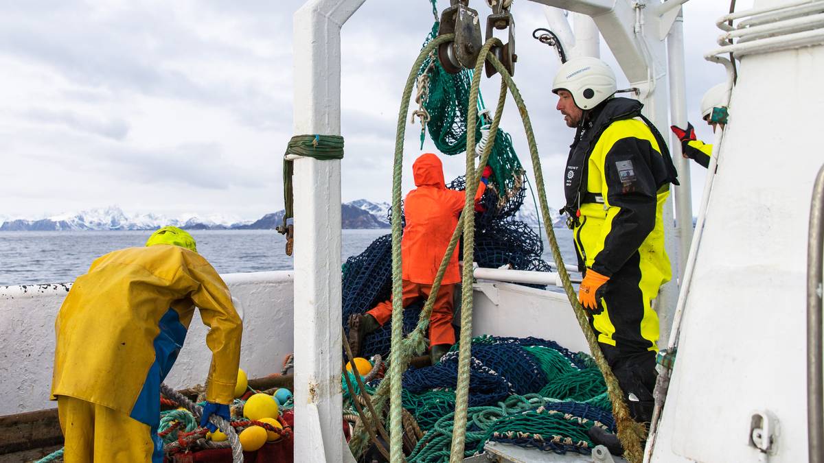 Fiskemottak nektet inspektørene å veie fisk