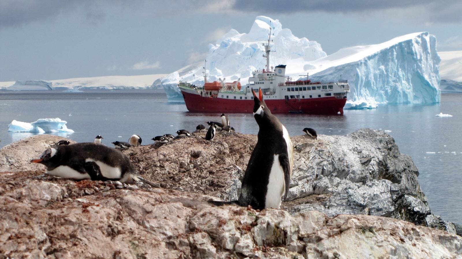Экологические проблемы северного ледовитого океана. Загрязнение Северного Ледовитого океана. Экология Арктики. Загрязнение Арктики. Охрана природы Антарктиды.