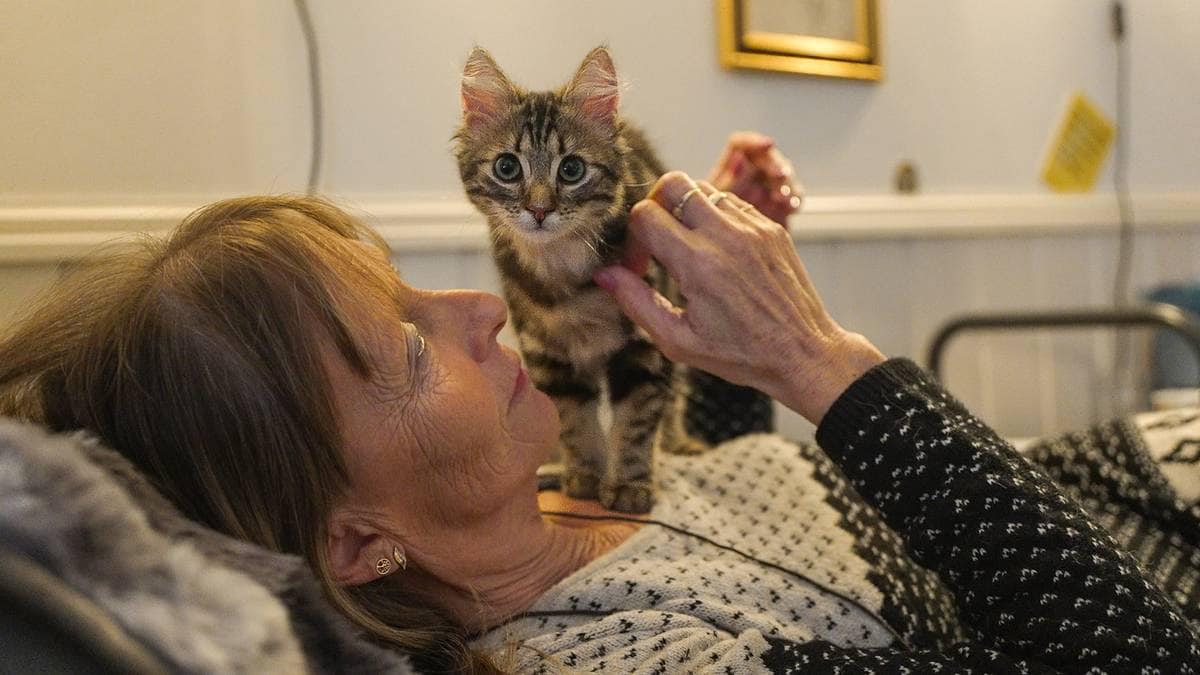 Forskar åtvarar om klimafelle: – Risikerer å bli fanga i faresona i årevis