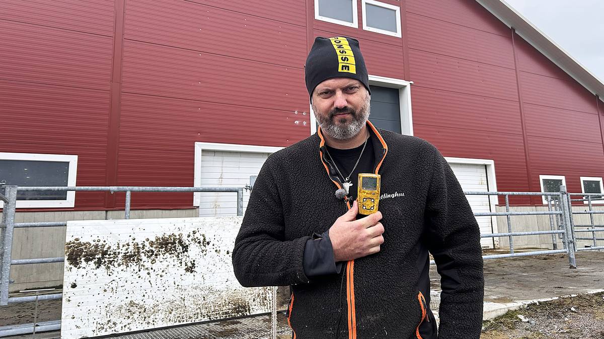 Bonde advarer mot farlig gass i fjøs: 300 dyr lå flatt i fjøset