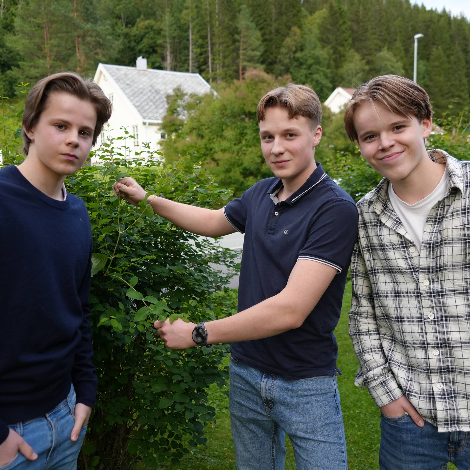 Tre unge menn står i en hage ved en busk, med bolighus og skog i bakgrunnen. (Bildebeskrivelsen er laget av en KI-tjeneste)