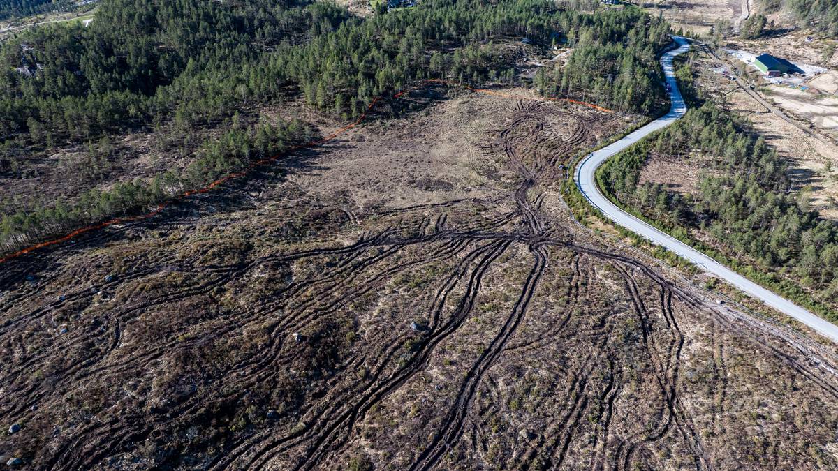 Får flengende kritikk for datasenter-planer