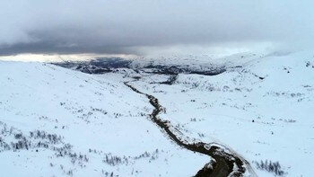 Hvor lenge kan mat stå i romtemperatur