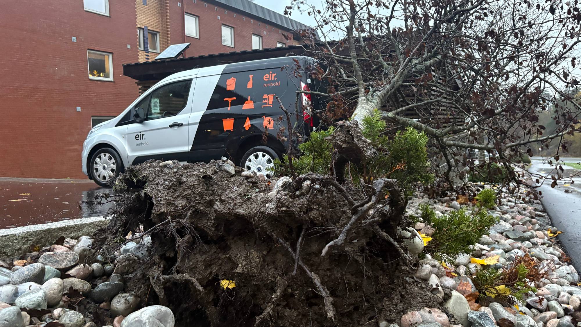 Et tre har veltet med rota opp ved en murbygning, der en varebil fra Eir Renhold er parkert. (Bildebeskrivelsen er laget av en KI-tjeneste)