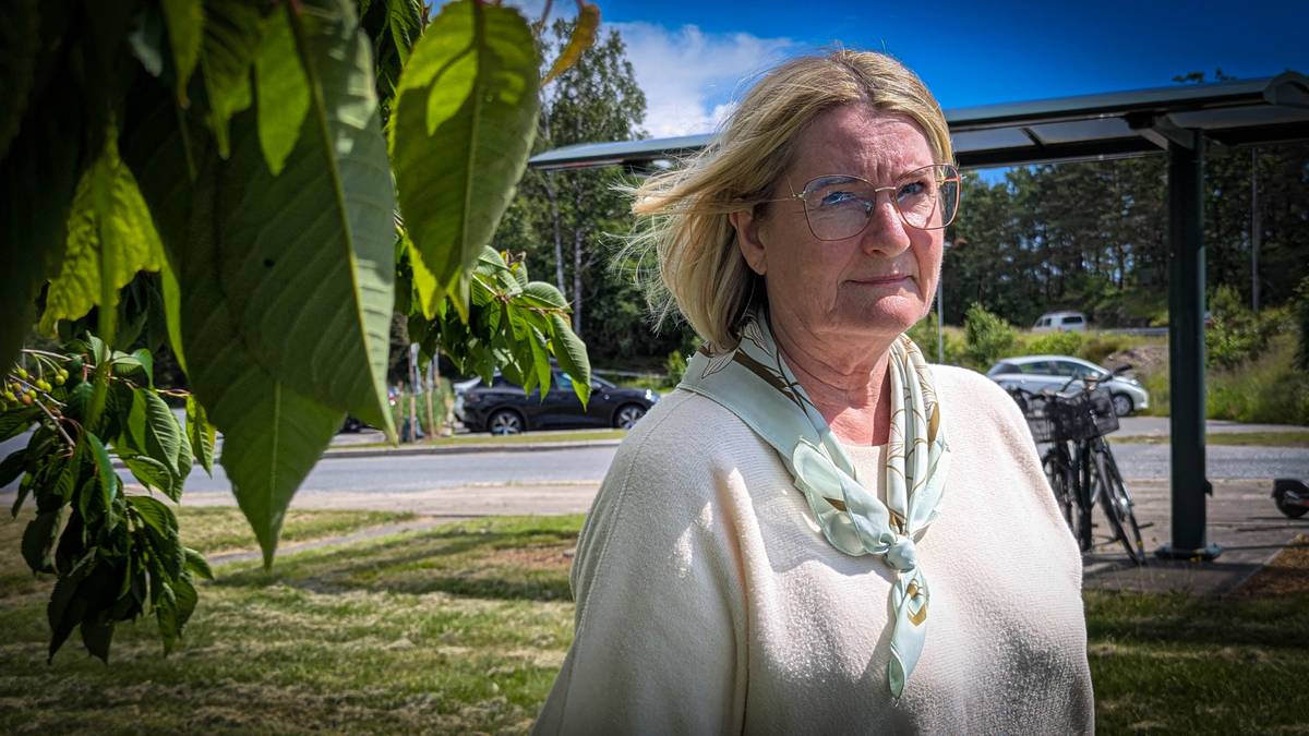 Ber fylkestopper avstå fra behandlingen av granskingsrapport