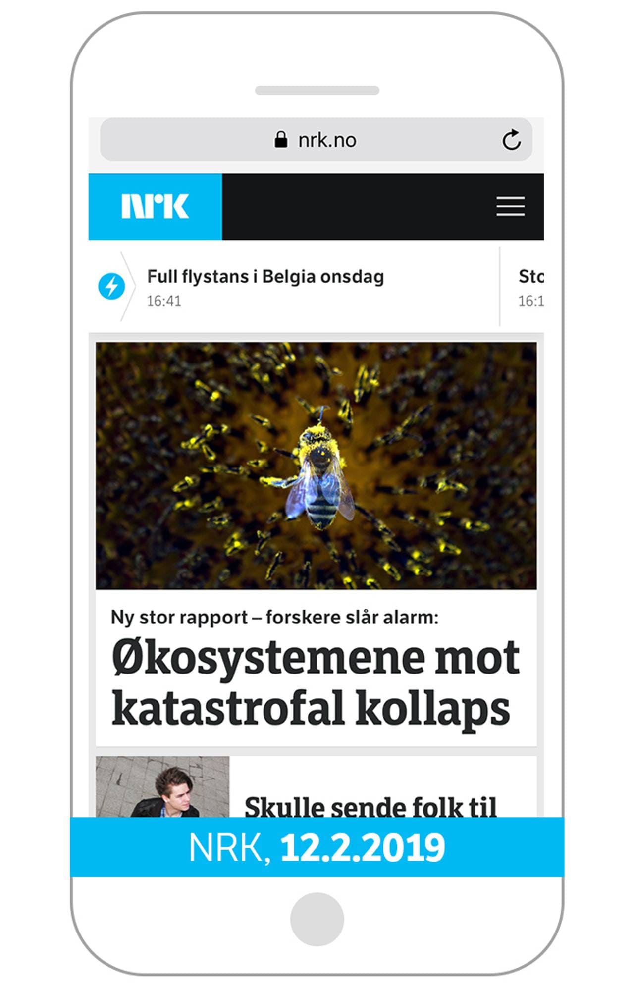 Økosystemene mot katastrofal kollaps