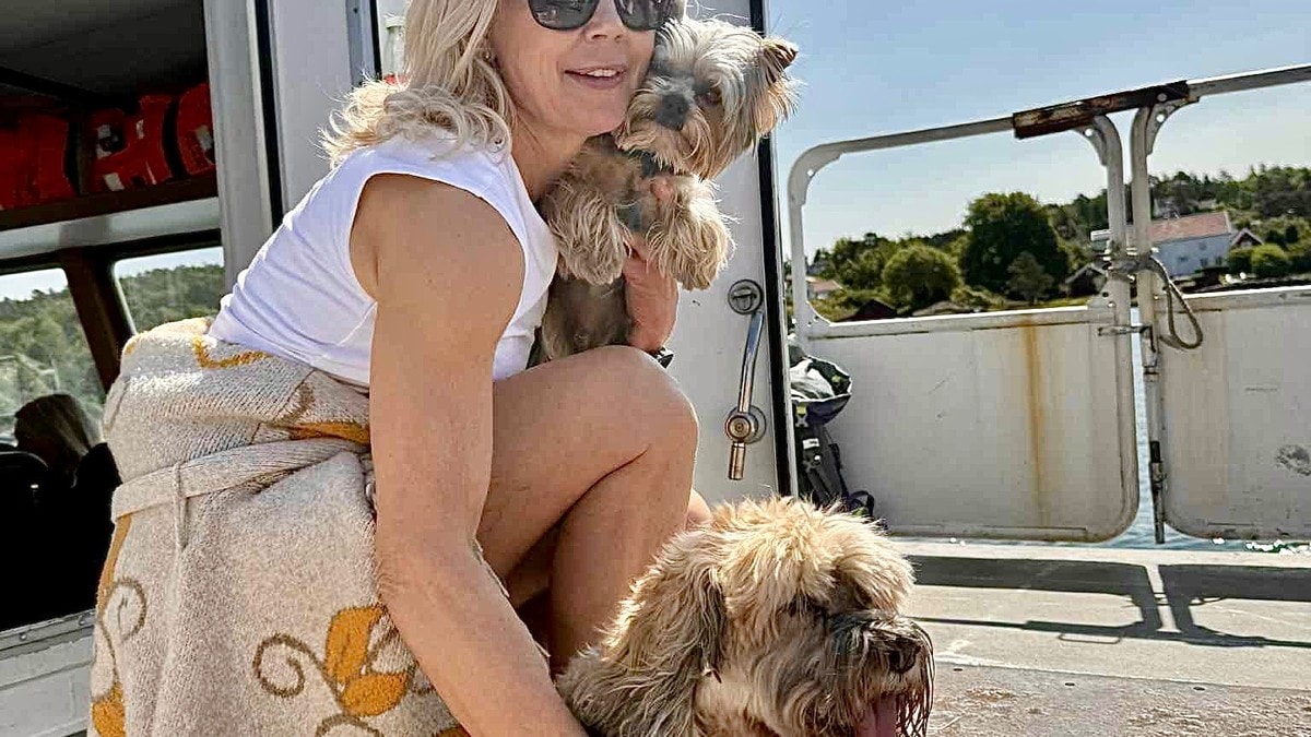 Advarer hundeeiere: – Kan bli mer aggressive