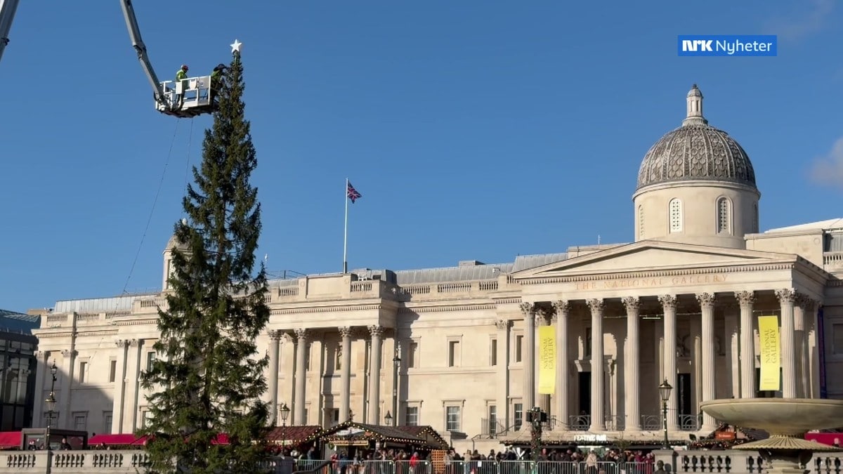 Norsk julegran i London får kritikk for å være spinkel